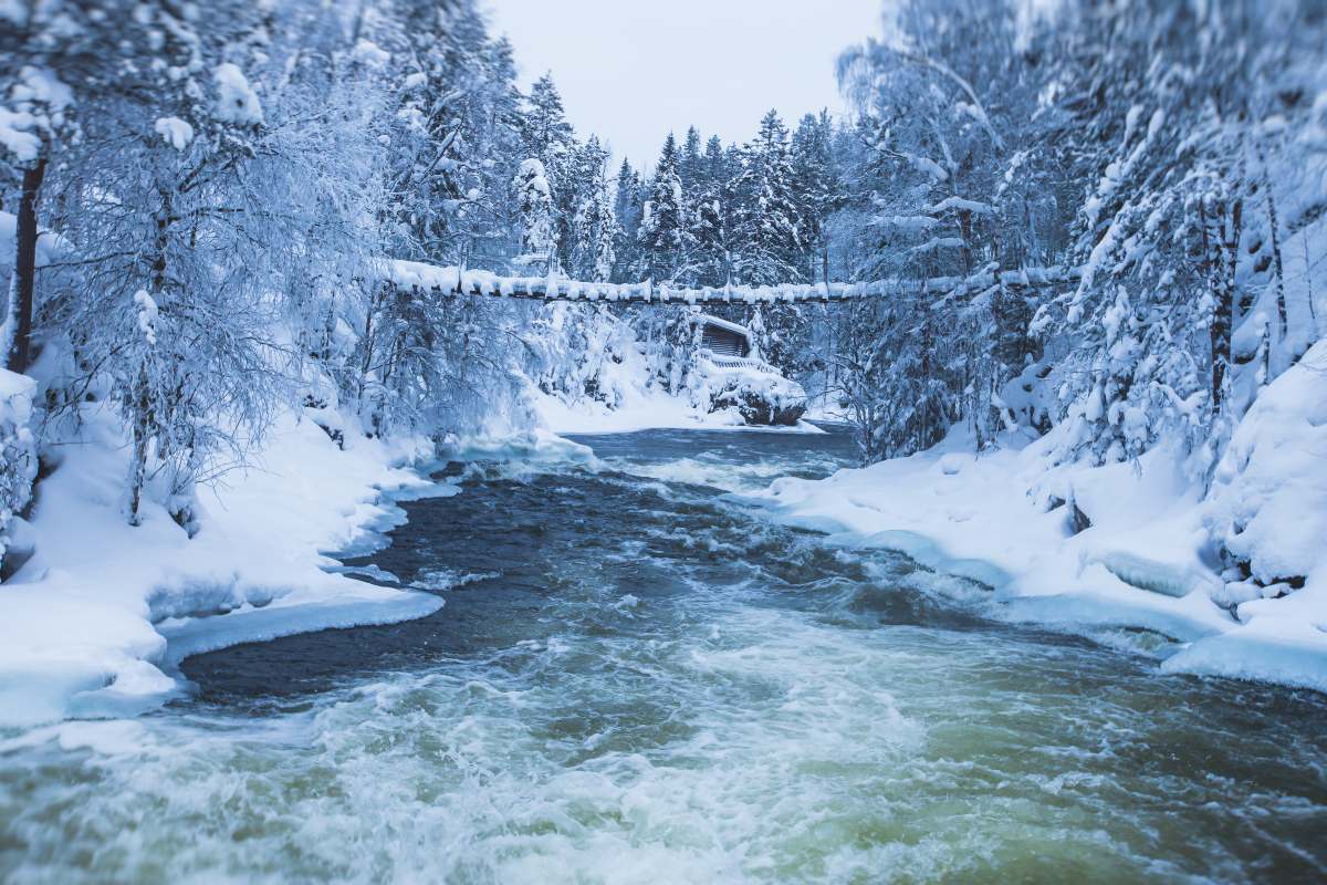 Oulangan Kansallispuisto,  Φινλανδία