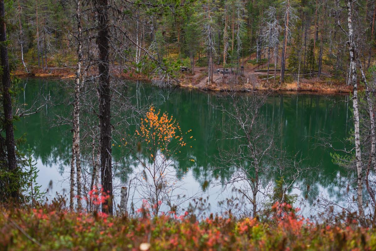 Oulangan Kansallispuisto, εθνικός δρυμός  Φινλανδία