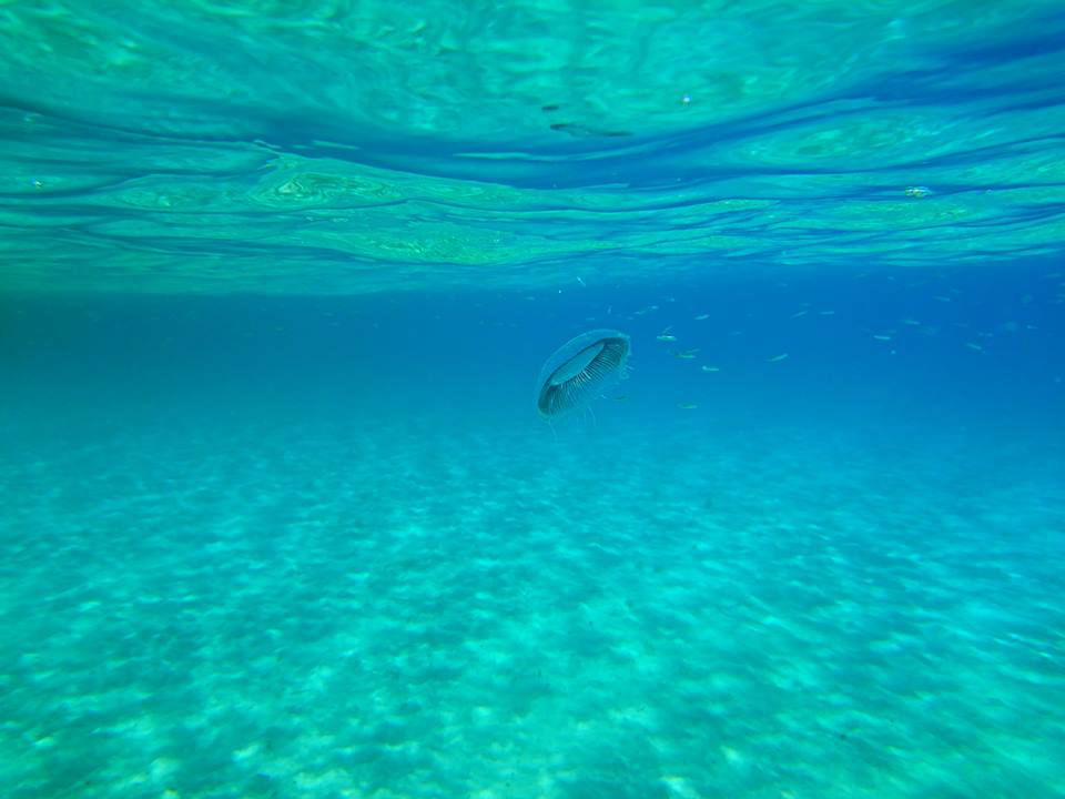 mykonos under the surface