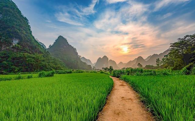Βιετνάμ φύση