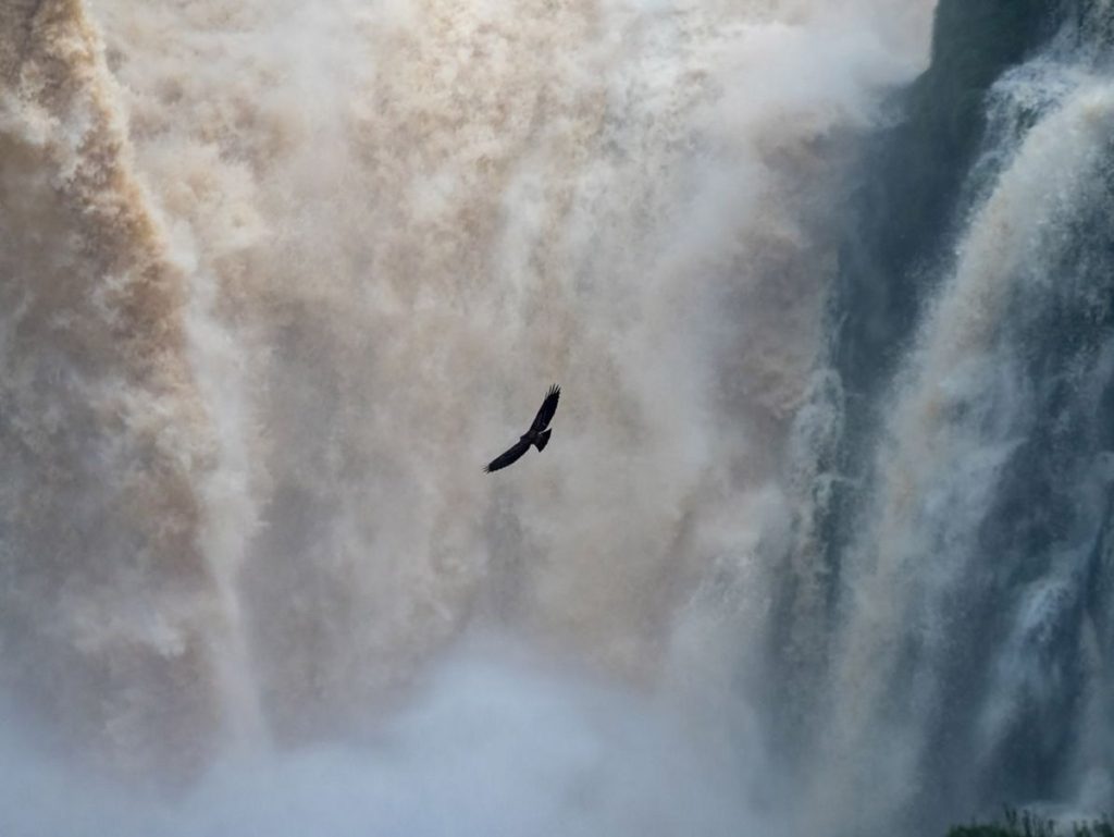 καταρράκτες Iguazú 