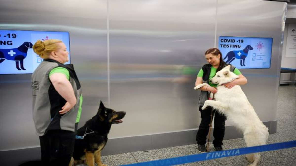 αεροδρόμιο Ελσίνκι σκυλιά κορονοϊός