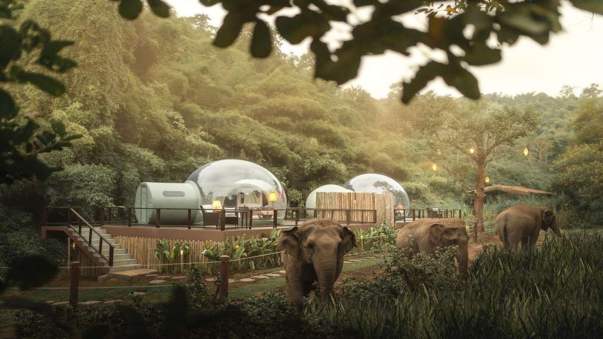 anantara resort ταϊλάνδη δωμάτια φούσκες ελέφαντες κοντινό