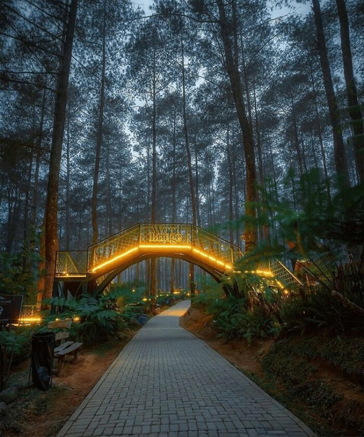 Ινδονησία φωτιζόμενη γέφυρα στο δάσος Orchid Forest κοντινή λήψη το βράδυ