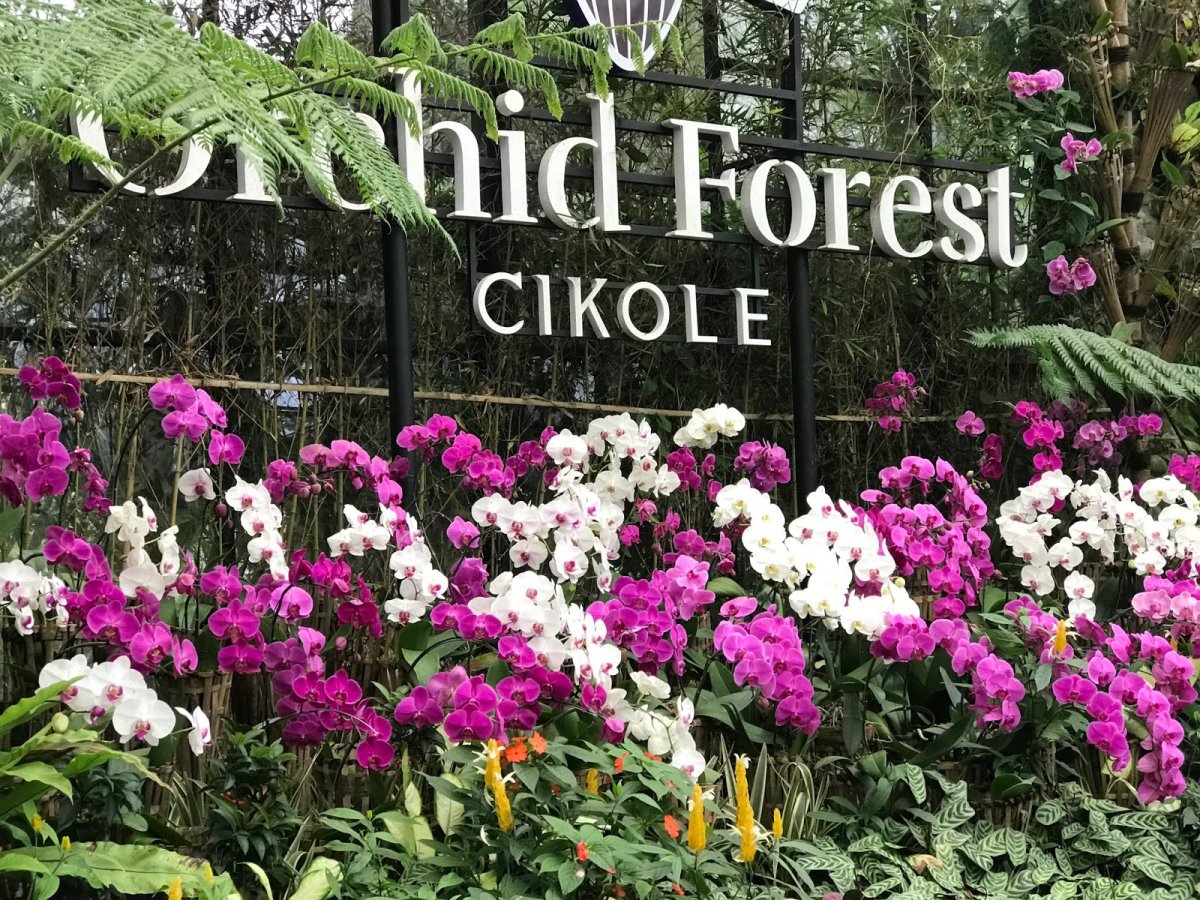 Ινδονησία φωτιζόμενη γέφυρα στο δάσος Orchid Forest η είσοδος στο δάσος