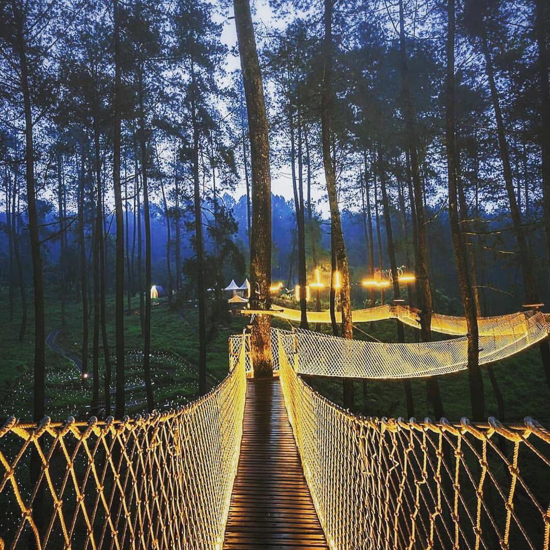 Ινδονησία φωτιζόμενη γέφυρα στο δάσος Orchid Forest