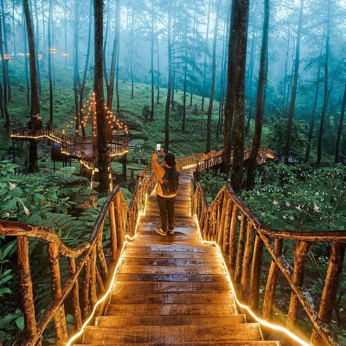 Ινδονησία φωτιζόμενη γέφυρα στο δάσος Orchid Forest τουρίστας βγάζει φωτογραφίες