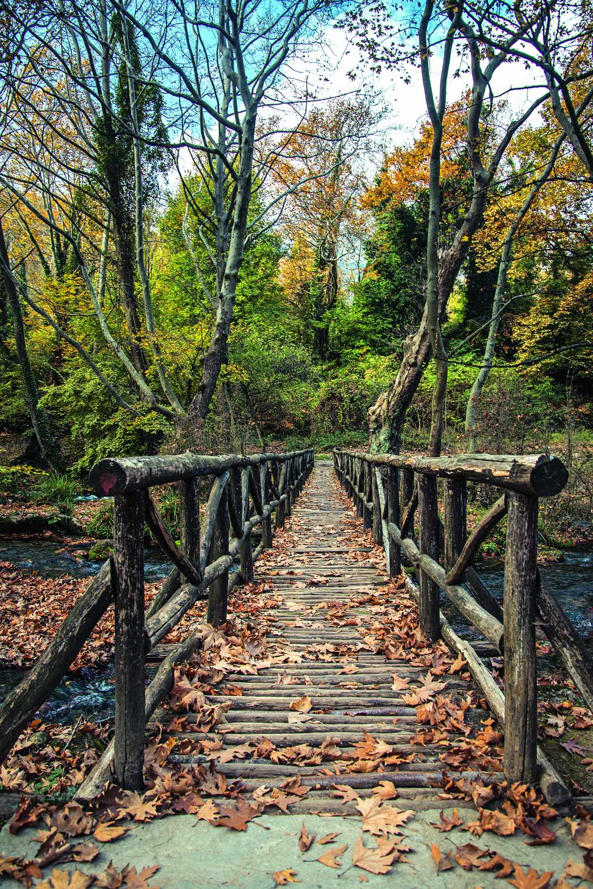 Γέφυρα ξύλινη- Πάρκο Αγίου Νικολάου