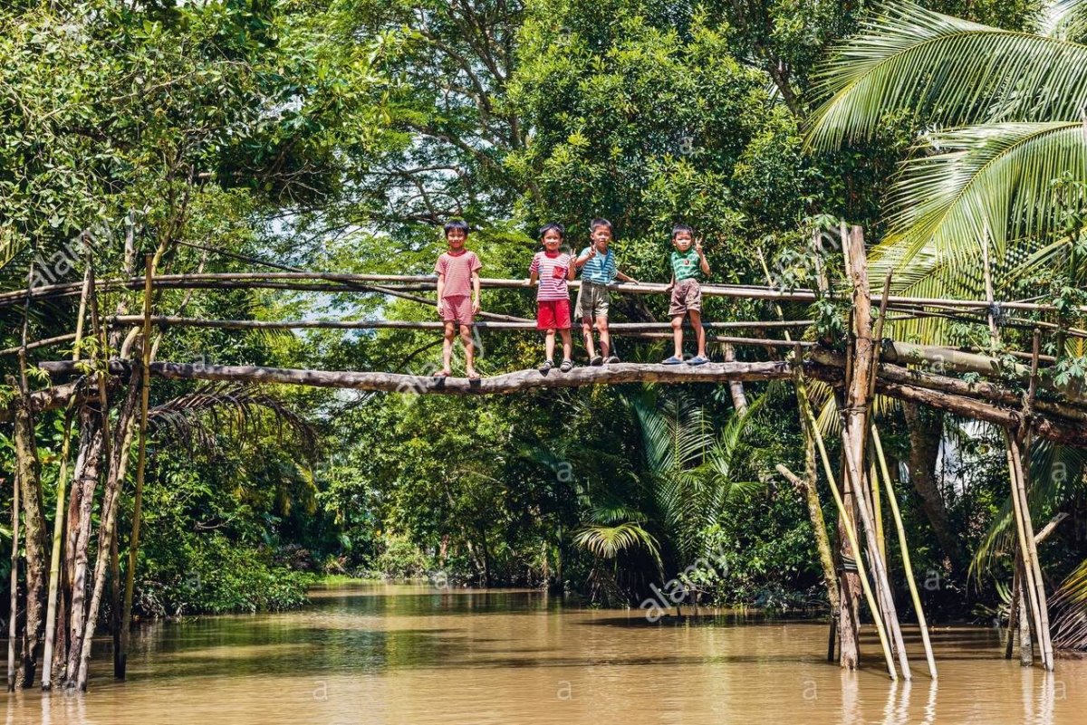 Monkey Bridge, Βιετνάμ