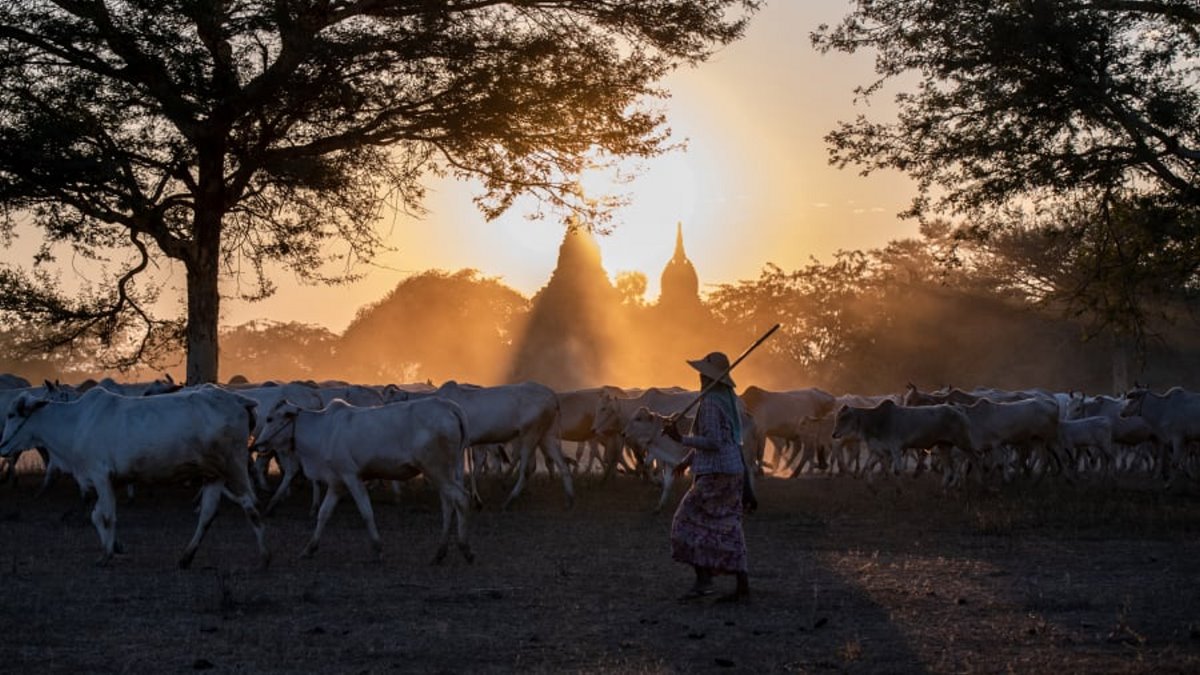 Οι καλύτερες ταξιδιωτικές φωτογραφίες για το 2020, Βιρμανία