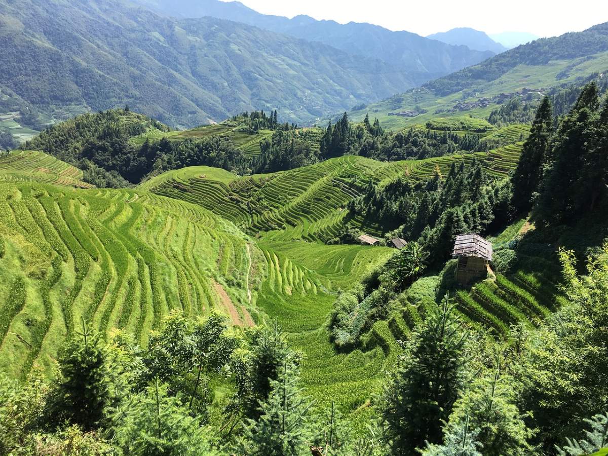 Το καταπράσινο τοπίο στο Γκουιλίν, Κίνα 