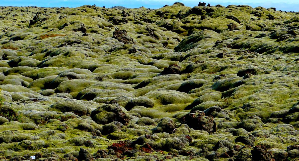 Green moss field, Ισλανδία