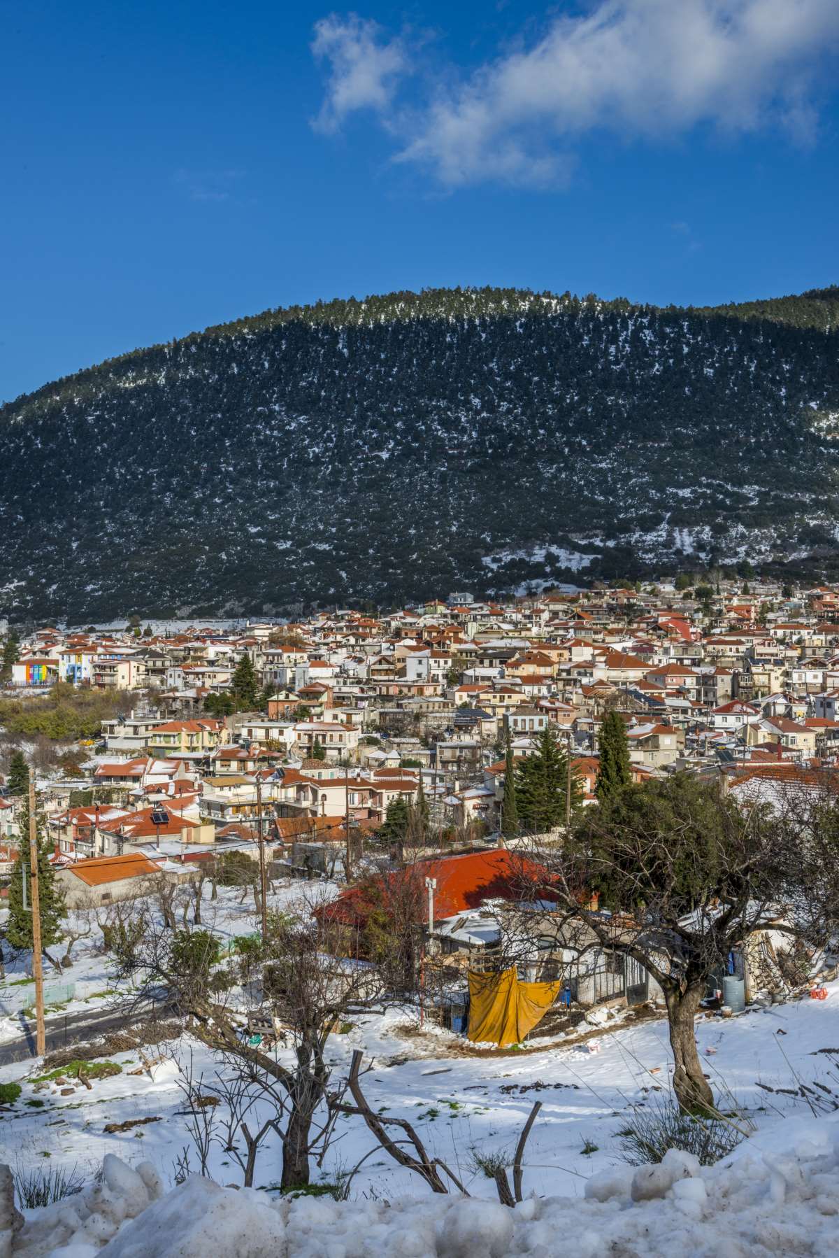 Κυριάκι Βοιωτίας, πανοραμική εικόνα του χωριού με χιόνια