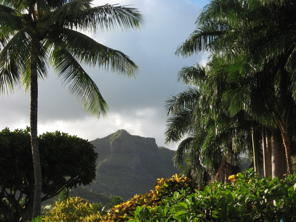 Στην ενδοχώρα του νησιού, Kauai Χαβάη