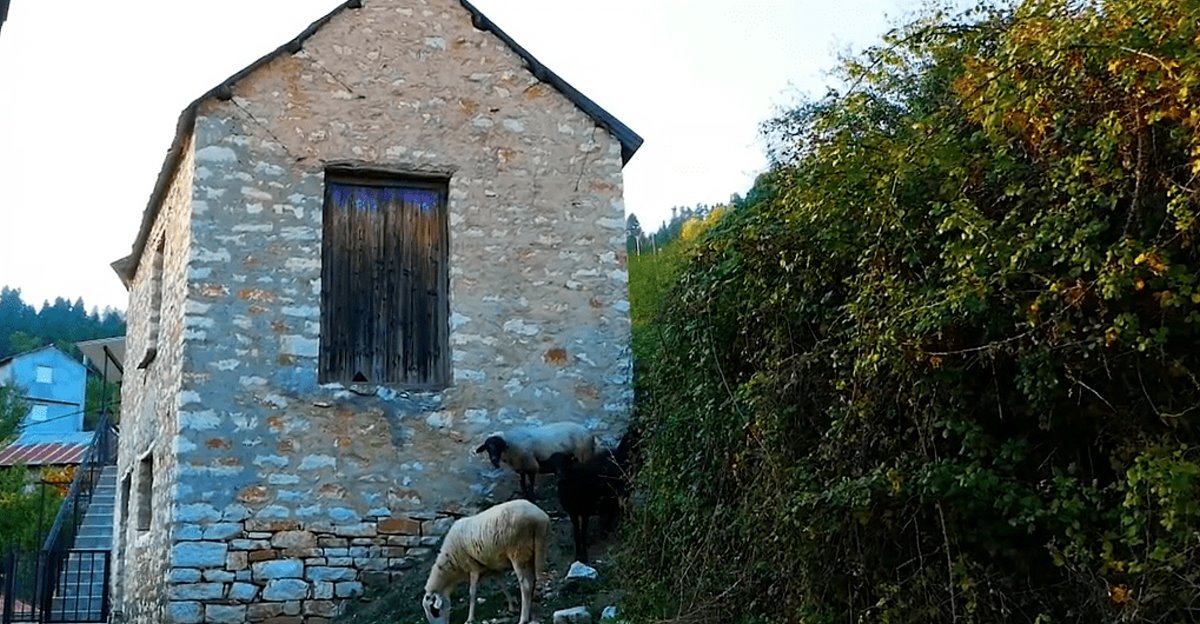 Συγγρέλος Ευρυτανία παραδοσιακός οικισμός με πέτρινα σπίτια και πρόβατα