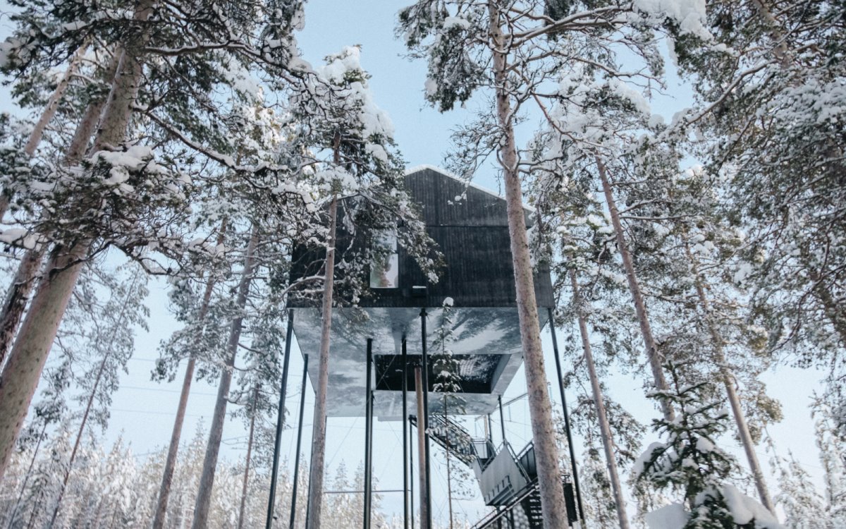 Tree Hotel, Σουηδία πάνω στα χιονισμένα δέντρα
