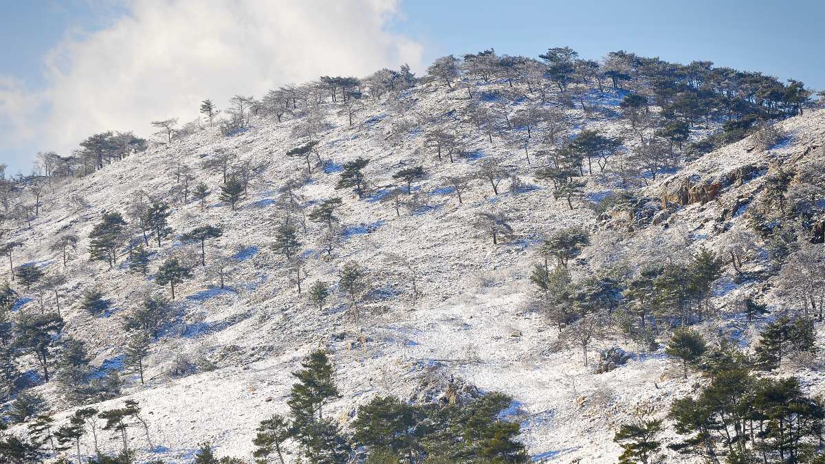 Χιόνια στη Χίο