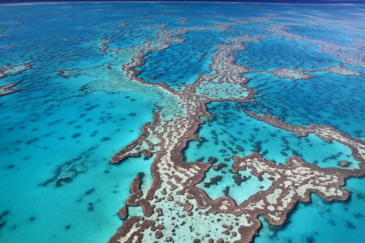 The Great Barrier Reef, Αυστραλία