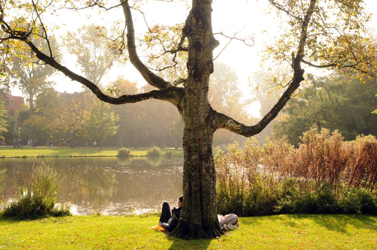 Voldenpark, Το διασημότερο πάρκο της Ολλανδίας