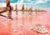 Η ροζ λίμνη στην Τανζανία