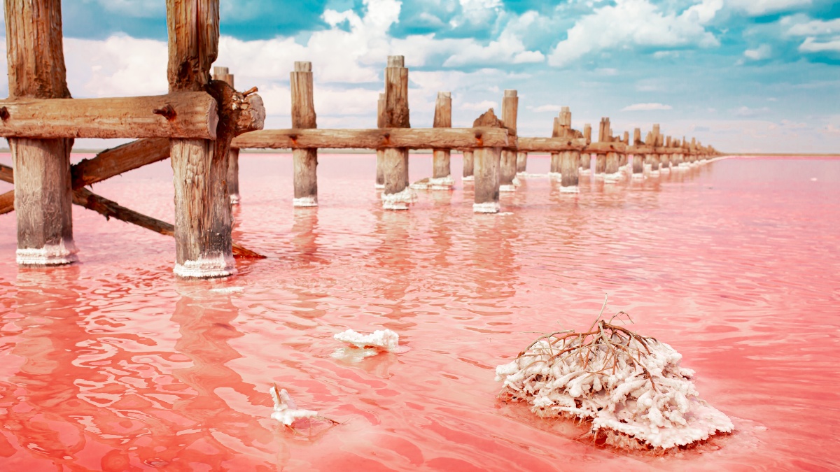 Η ροζ λίμνη στην Τανζανία