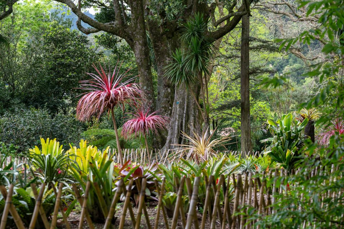 São Miguel, Azores, Πορτογαλία