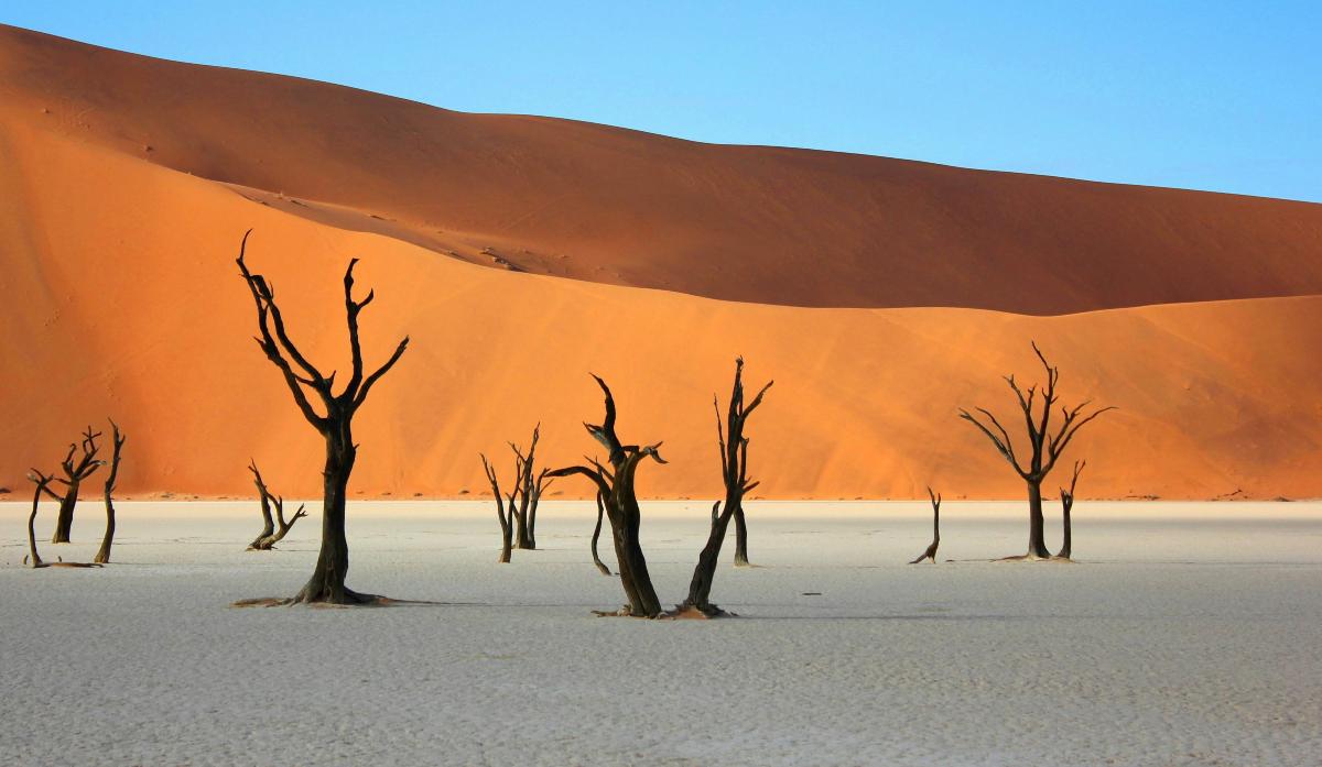 Deadvlei, Έρημος Ναμίμπ, Ναμίμπια