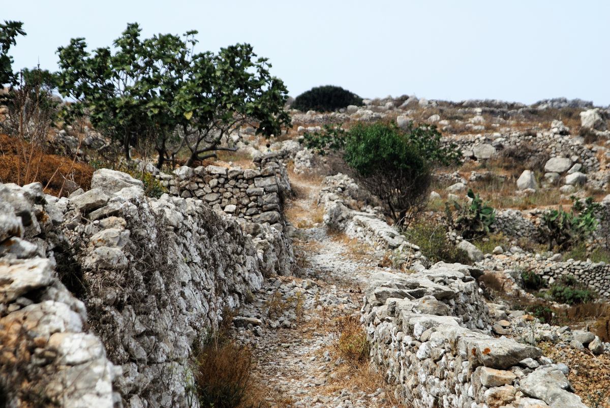 Aγροτικός δρόμος στην Κάρπαθο - πέτρινο μονοπάτι στο δρόμο προς το χωριό Βρούκουντα 