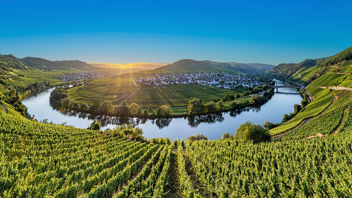 On the Mosel River in Leiwen, Trittenheim in Germany