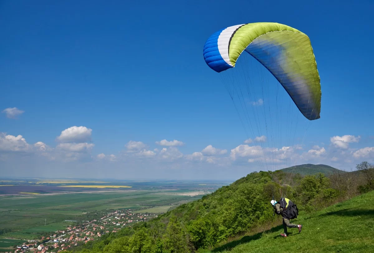 paraglider