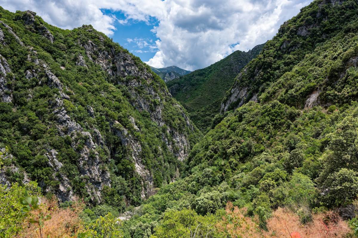 Φαράγγι του Αχέροντα κοντά στο χωριό Γλυκή