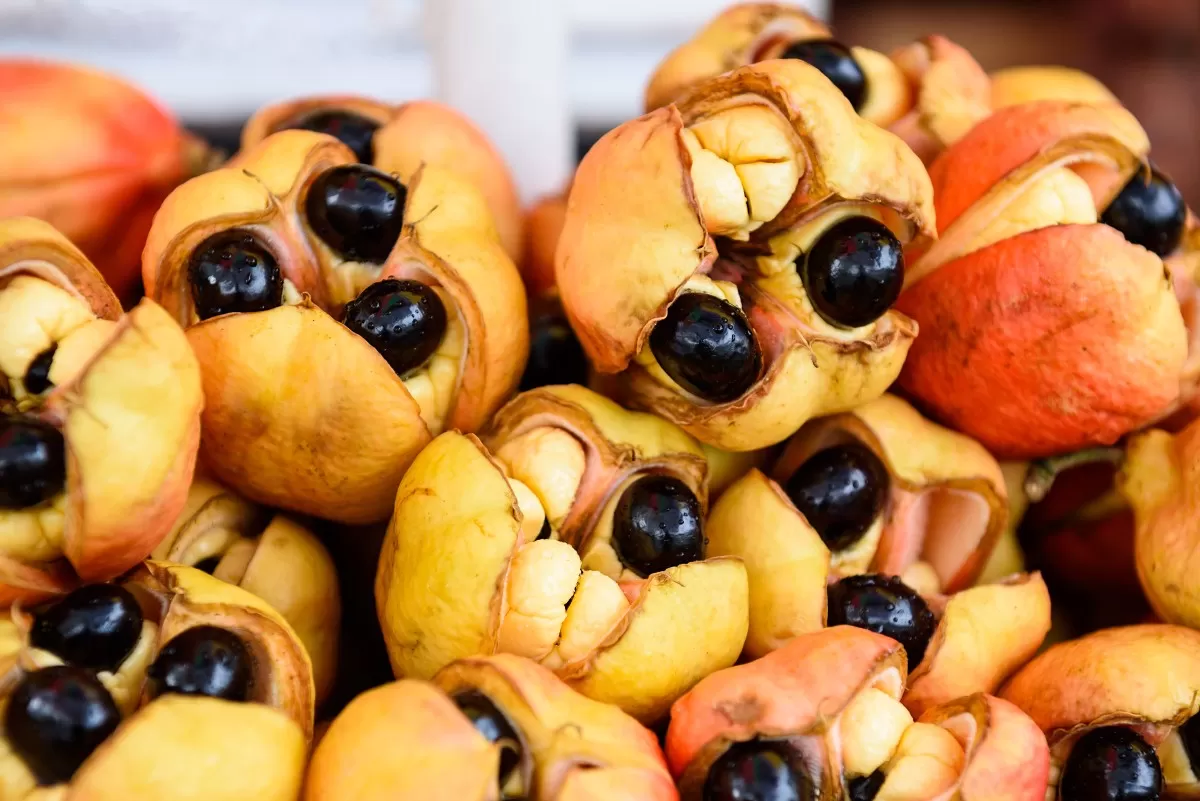 Ackee (Άκι)