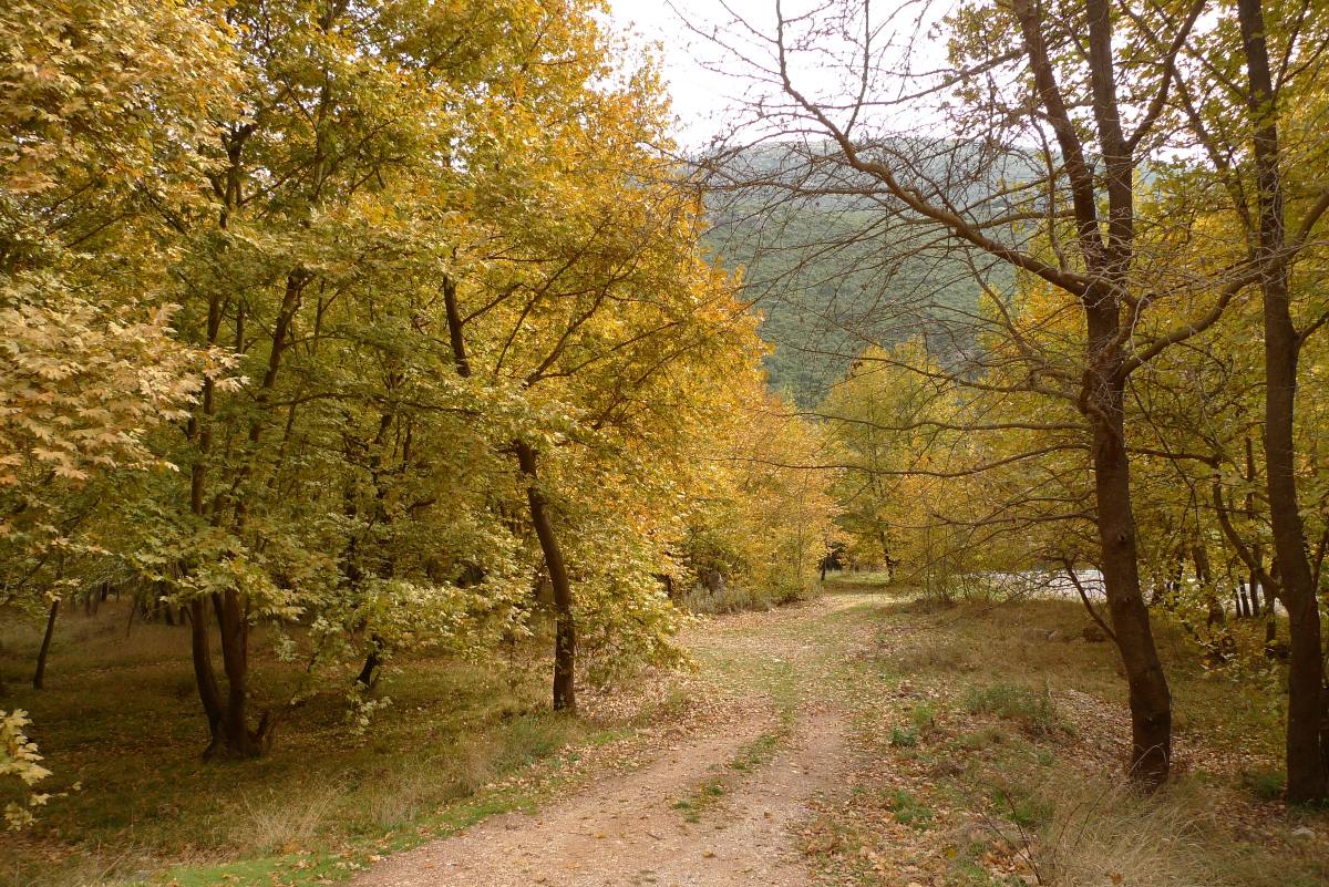 Πεζοπορική διαδρομή στις όχθες του ποταμού Λάδωνα