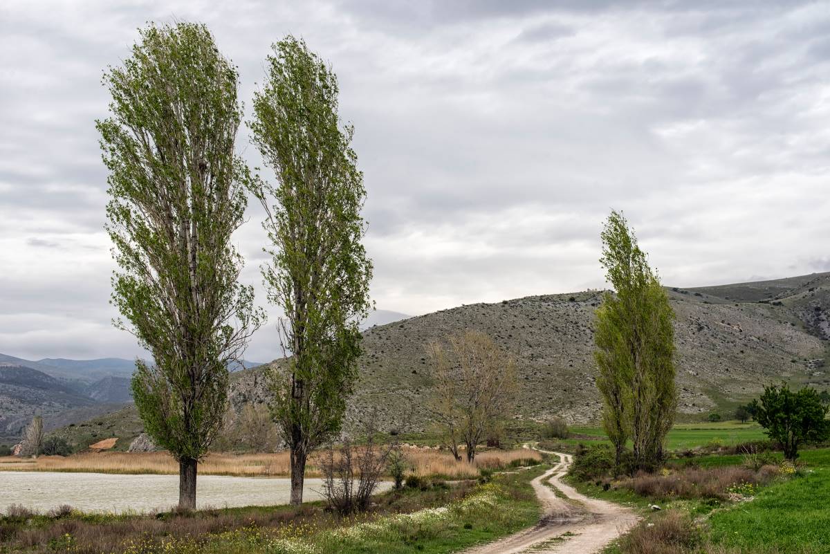 Λίμνη Πετρών Φλώρινα