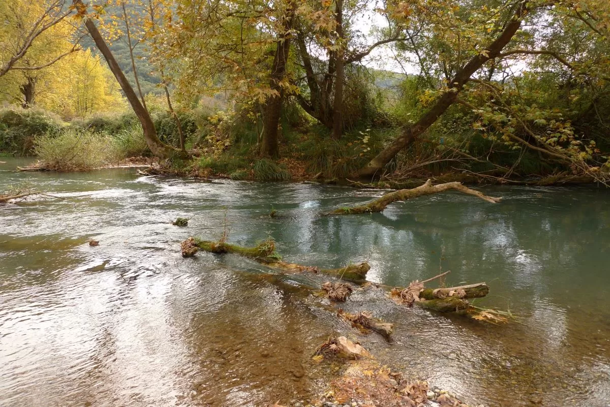 ποταμός Λάδωνας Πελοπόννησος