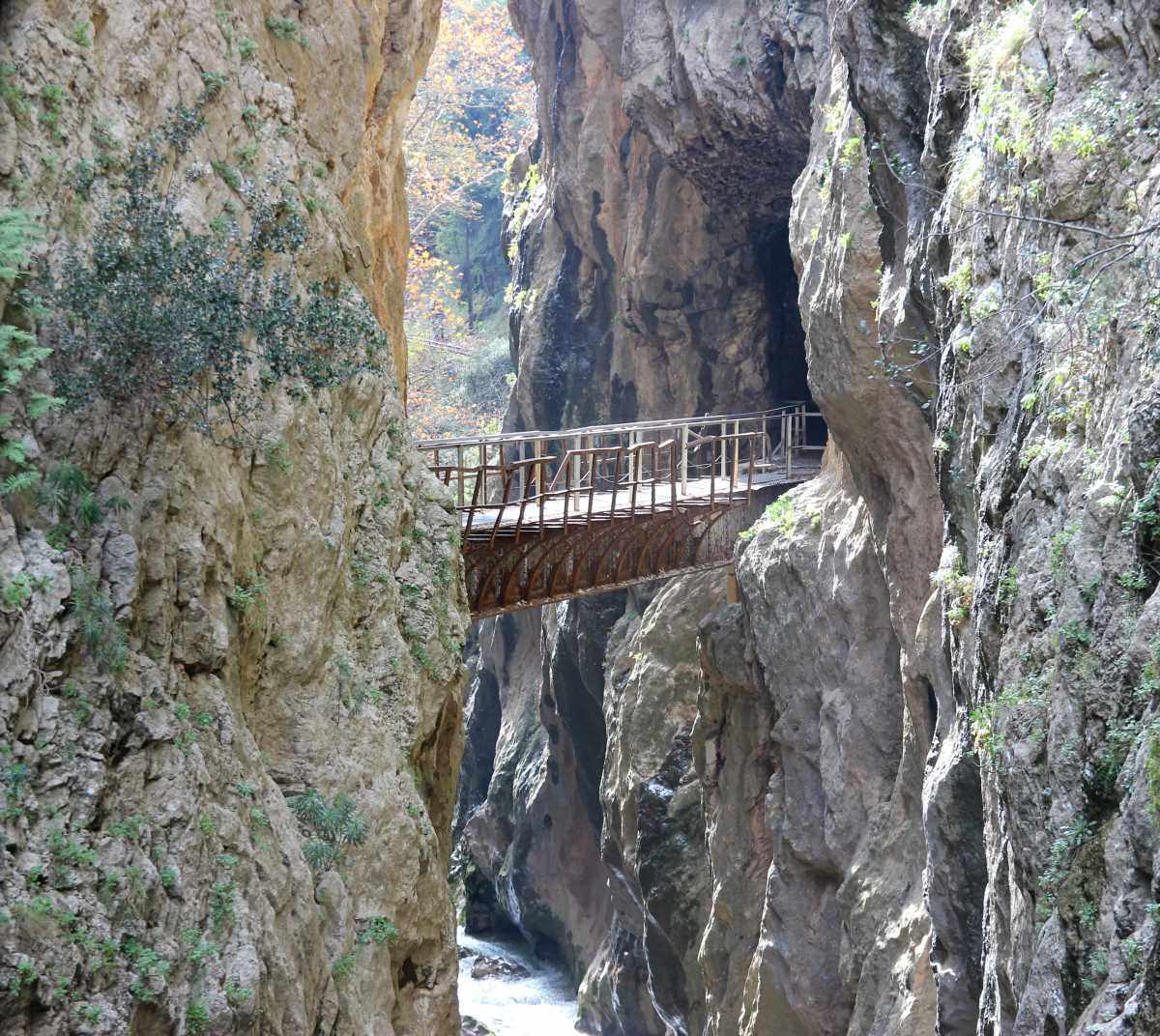 Εγκαταλελειμμένη παλιά & σκουριασμένη σιδηροδρομική γέφυρα του Οδοντωτού που συνδέει δύο γκρεμούς στο φαράγγι του Βουραϊκού πάνω από ένα ποτάμι στα Καλάβρυτα