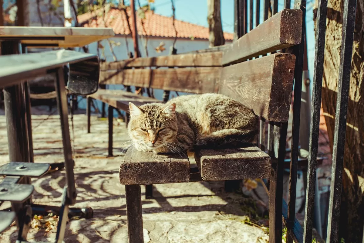 Μια ηλιόλουστη ημέρα στα Φιδάκια Ευρυτανίας