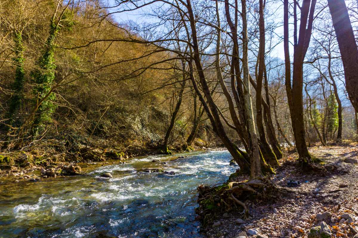 Καρπενησιώτης ποταμός