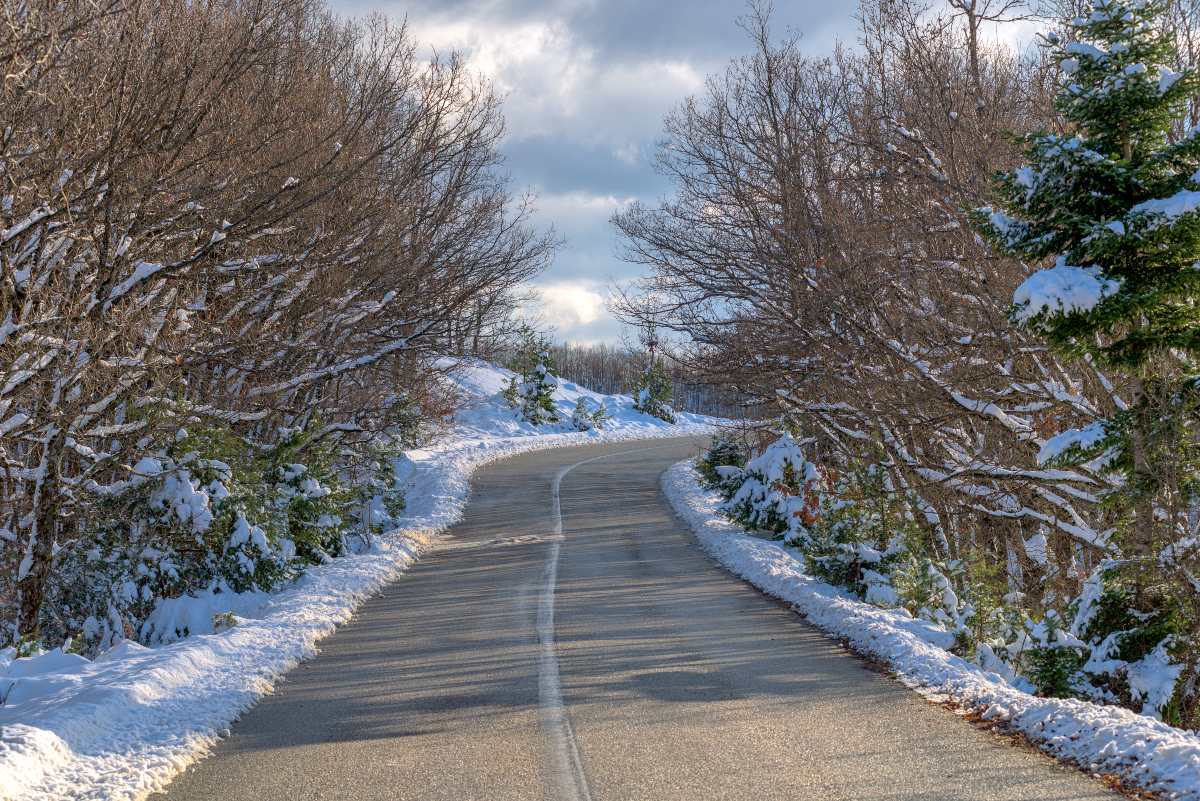 Διαδρομή κοντά στη Λίμνη Πλαστήρα